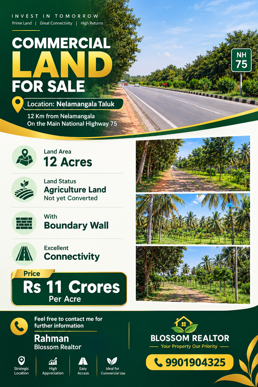 Commercial Land Investment Flyer